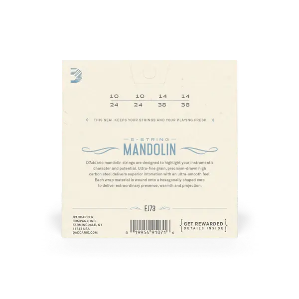 11.webp