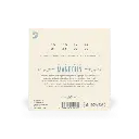 11.webp