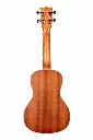 27436_kala_ukuleles_kac_KALA-KA-C-ACCLAIM-DI3.webp