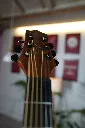 DSC01526.webp
