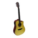 DREAM MAKER SEMI ACOUSTIC GUITAR DM-307CE