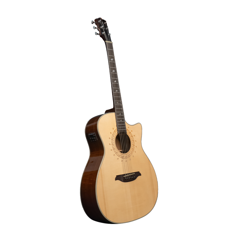 Mantra Semi acoustic Guitar - Rudra 