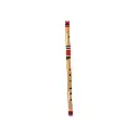c1.webp