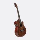 Mantra Semi Acoustic Guitar [Moksha]