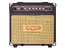 CARLSBRO (SHERWOOD 20) GUITAR AMPLIFIERS