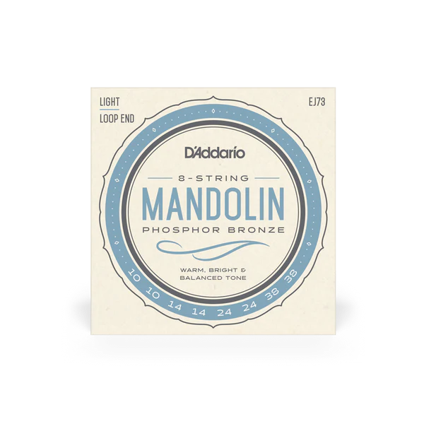 [DADDARIO25355] DADDARIO MANDOLIN STRING-EJ73