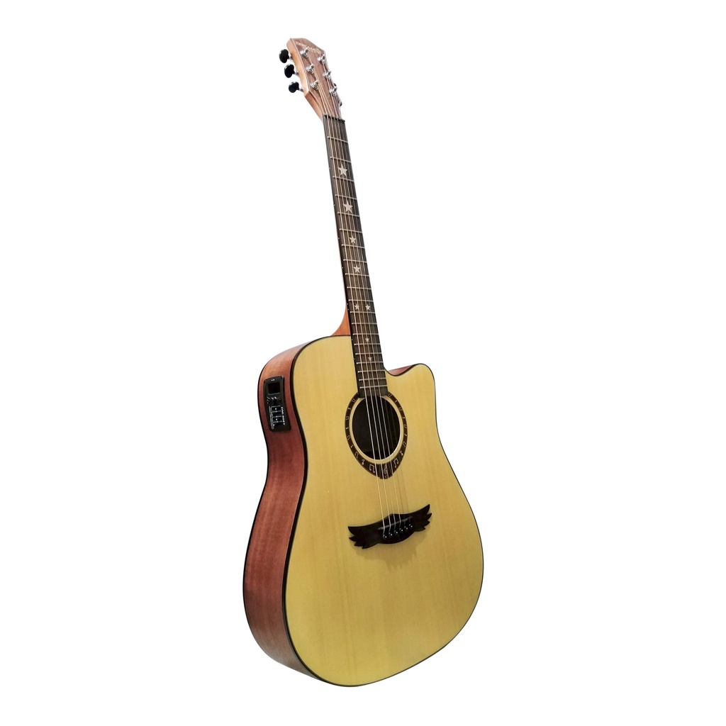 DREAM MAKER SEMI ACOUSTIC GUITAR DM-307CE