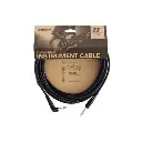 Daddario Instrument Cable PW-CGTRA-20