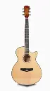 Deviser Semi-Acoustic Guitar L-T4