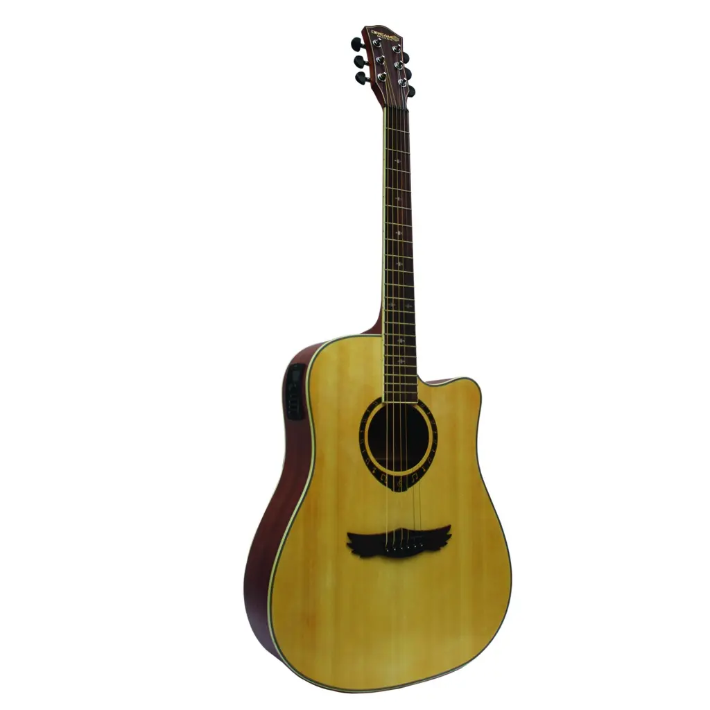 DREAM MAKER SEMI ACOUSTIC GUITAR DM-301CE