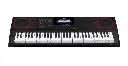 CASIO DIGITAL KEYBOARD CT-X8000IN