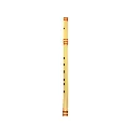 Nepali Flute - D#