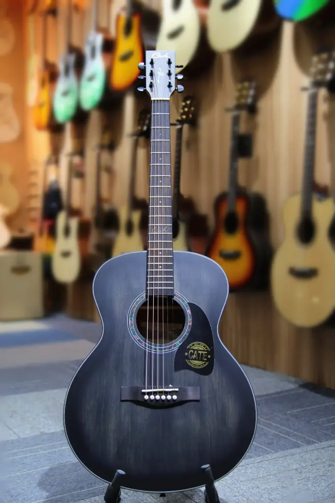 Cate 703 Semi-Acoustic Guitar with Tuner (Black) (Combo-Bag, string, belt, capo, 1-Pick)