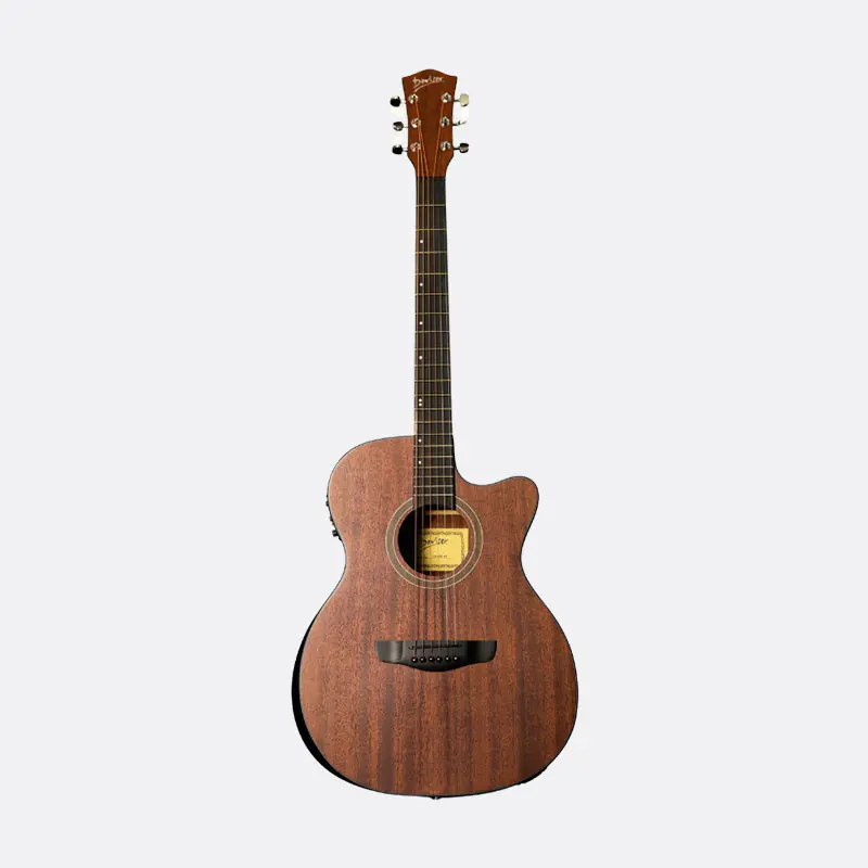 Deviser Semi-Acoustic Guitar (LS-550-40-BW) (Combo-Bag, string, belt, capo, Pick)