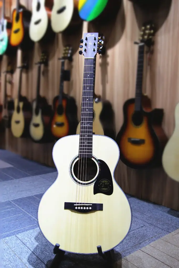 Cate 703 Semi-Acoustic Guitar with Tuner (Natural) Combo-Bag, string, belt, capo, Pick)
