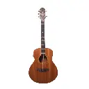Mantra Acoustic Guitar - Prakriti EQ (Combo-Bag, Belt, capo, string, pick)