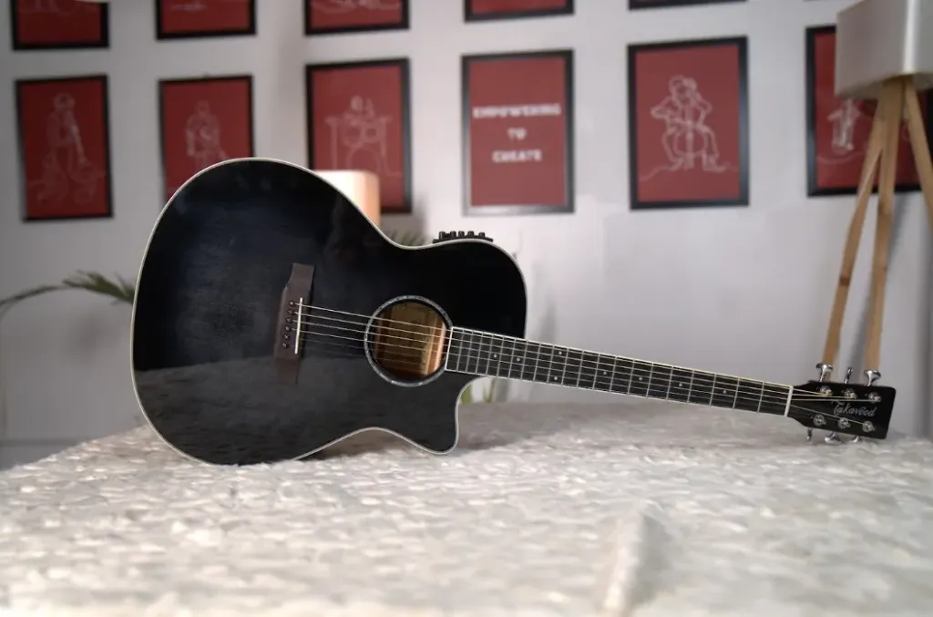 Takavood Guitar T20Gac-BK (Black)  Combo-Bag, string, belt, capo, Pick)