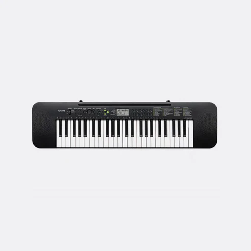 Casio Electronic Keyboard CTK-240H2 with Free Adaptor