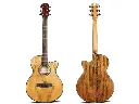 Oriental Semi-Acoustic Guitar EQ (W-300-40) (Combo-Bag, string, belt, capo, Pick) New